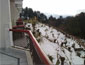 /images/Hotel_image/Patnitop/Hotel Green Top/Hotel Level/85x65/Balcony,-Hotel-Green-Top,-Patnitop.jpg